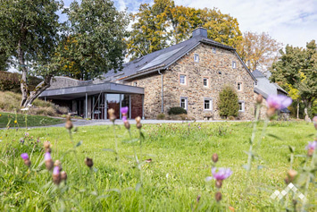 Groot charmant vakantiehuis in Amblève, toegankelijk voor PBM, voor 24 personen met hot tub, wellness, binnen- en buitenspelen