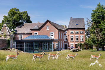 Manoir à Hastière pour 23 personnes (+1 bébé) et 1 chien avec piscine, sauna, salle de jeux et parc à daims
