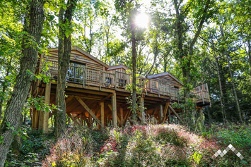 Cabane perchée en forêt à Erezée pour 4 adultes et 2 enfants avec sauna et vue panoramique