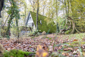 Bungalow à Beauraing pour 4 adultes, 2 enfants et 4 chiens avec terrasse et jardin clôturé
